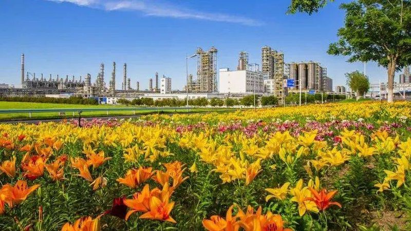 高纯度有机化工原料采购，如何规避潜在风险？**